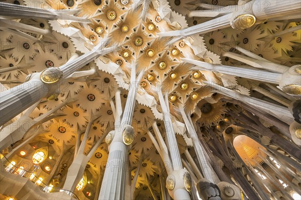 Sagrada Familia church interior. Barcelona, Spain.