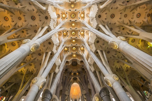 Sagrada Familia church interior. Barcelona, Spain.