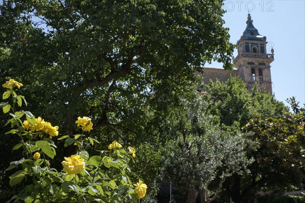 Monastery of Valdemossa. Valldemossa, Mallorca, Spain.