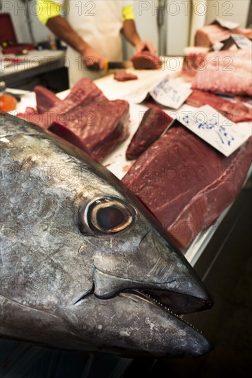 Tuna fish on fish market. Cadiz, Spain.