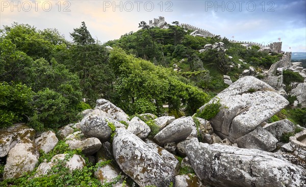 Moorish Castle. Sintra, Portugal.