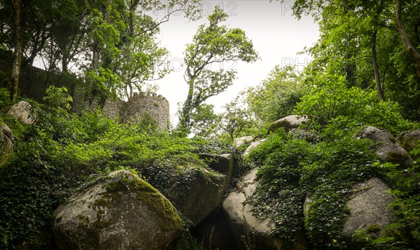 View of Moorish Castle. Sintra, Portugal.