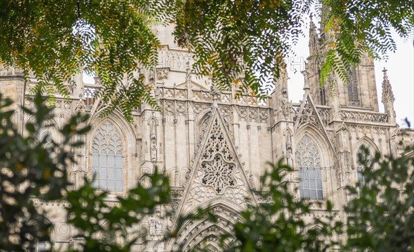 Cathedral de Barcelona. Barcelona, Spain.