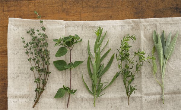 Variation of herbs on table.