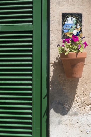 Potted flower hanging below ornate plaque. Valldemossa, Mallorca, Spain.