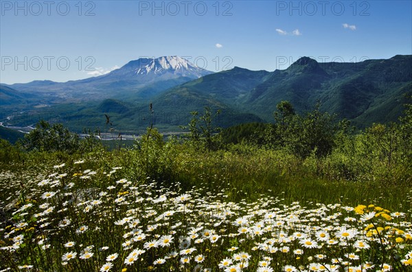 Mount St Helen's