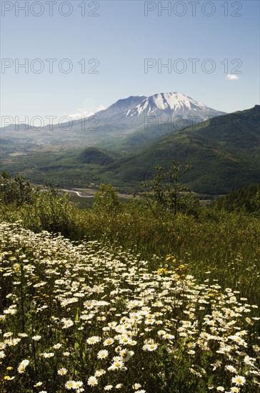 Mount St Helen's