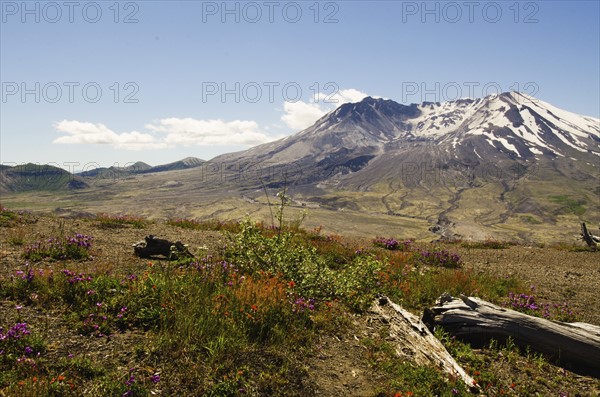 Mount St Helen's