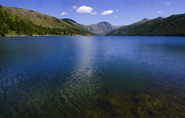 Mount St Helen's