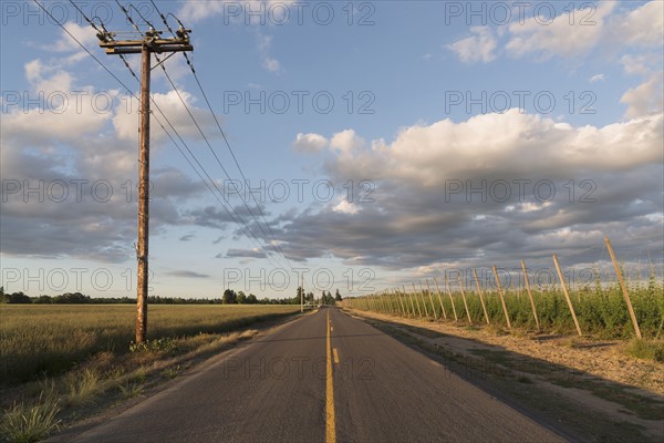 Empty road in diminishing perspective