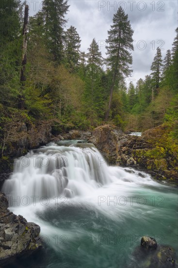 Waterfall on Santiam river