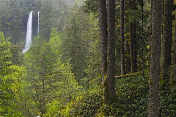 Silver state park with waterfall in background