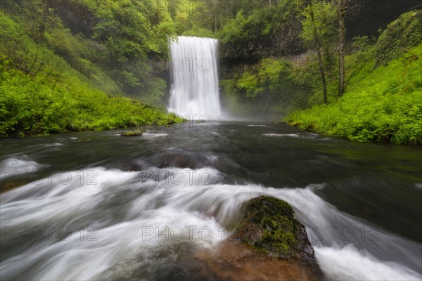 North falls in forest