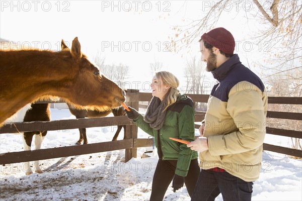 Young couple feeding horse with carrots