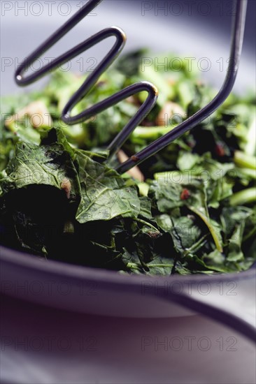 Close-up of sauteed lettuce