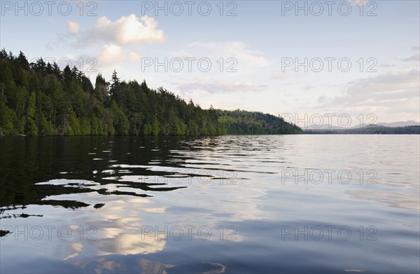 Clouds and forest reflecting in lake