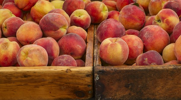 Peaches in crates.