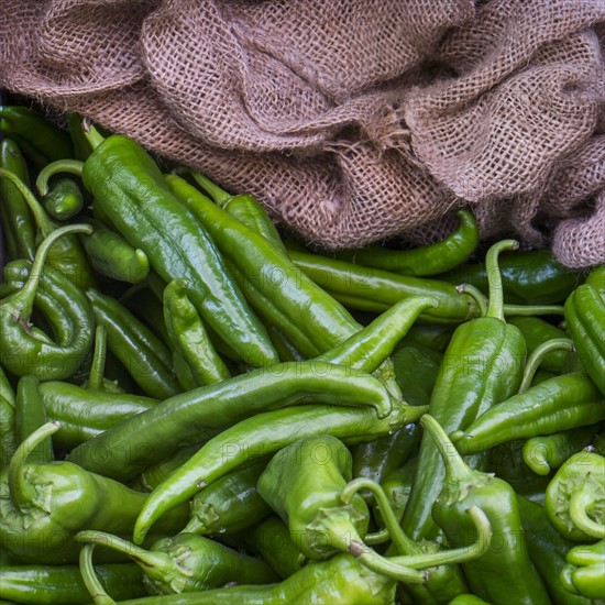 Green jalapeno peppers.