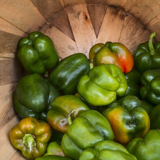 Green bell peppers.