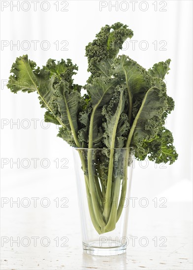 Studio shot of kale leaves in glass.