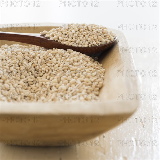 Studio shot of whole grains.