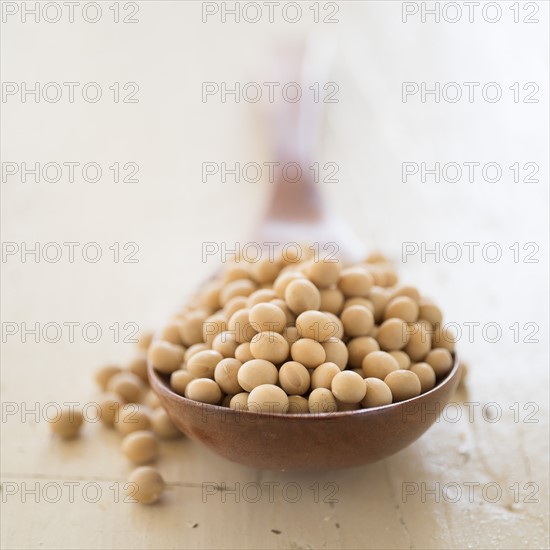 Studio shot of soy beans.