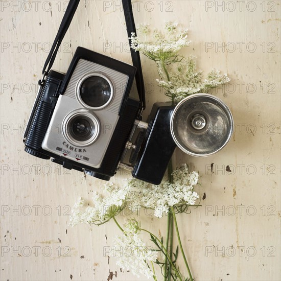 Studio shot of antique camera with flowers.