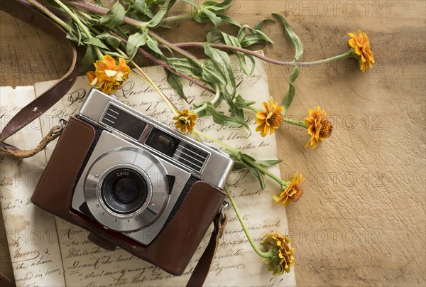 Studio shot of antique camera with flowers.