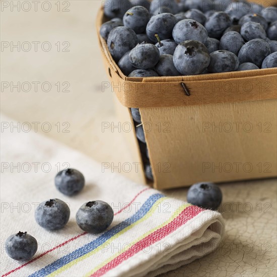 Studio shot of blueberries.