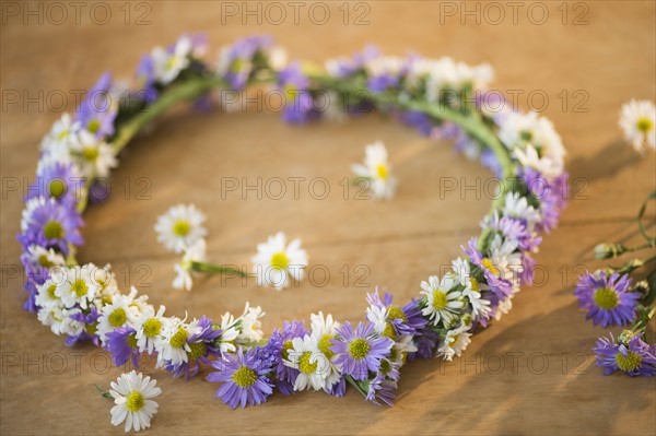 Studio shot of flower wreath