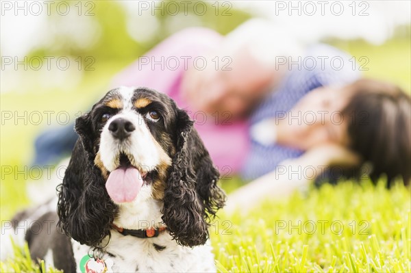 Smiling couple with dog lying in grass