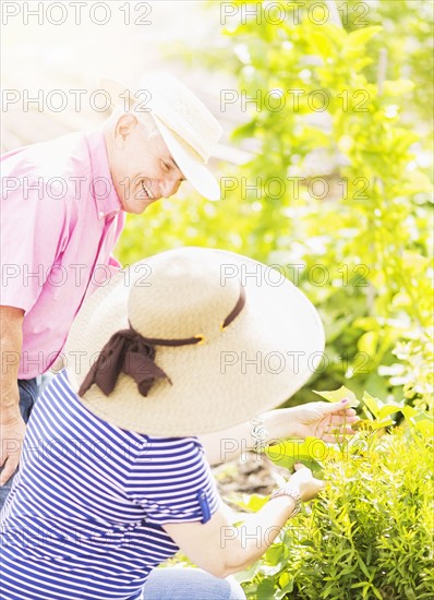 Close-up shot of couple gardening together
