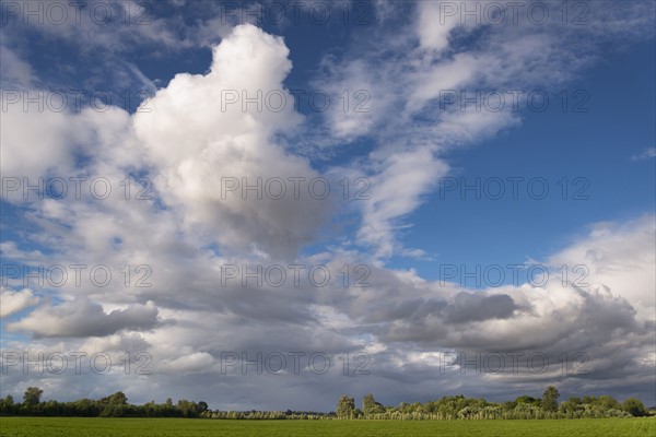 Moody sky above green meadow