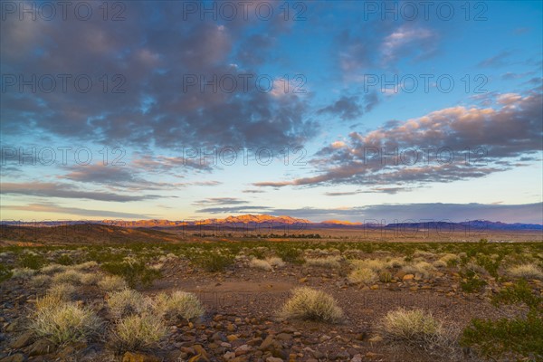 Landscape with desert and moody sky
