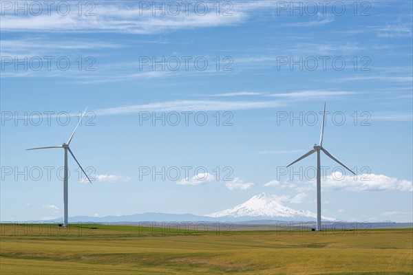 Wind turbines at green field with mountain on background