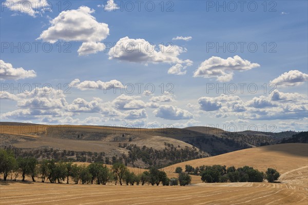 Rolling landscape with cloudy sky