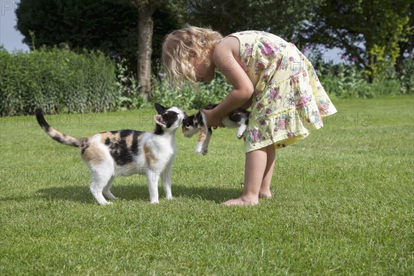 Little girl (2-3) playing with cats in garden