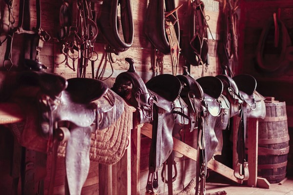 Saddles on bench in barn