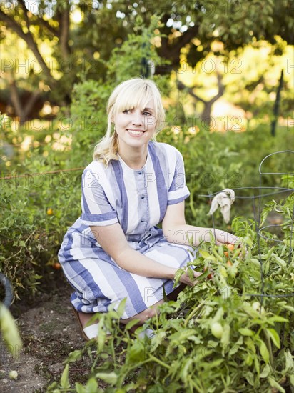 Woman picking vegetables in garden