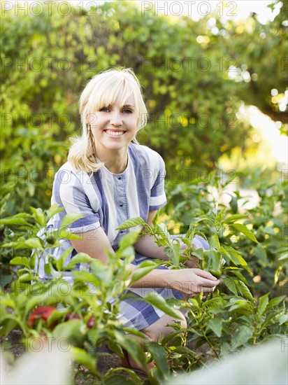 Woman picking vegetables in garden