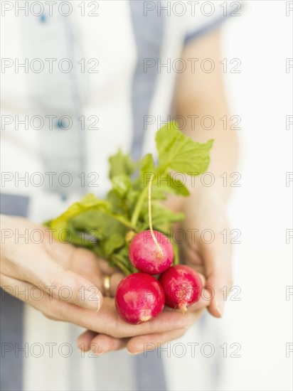 Studio shot of woman holding bunch of fresh radishes