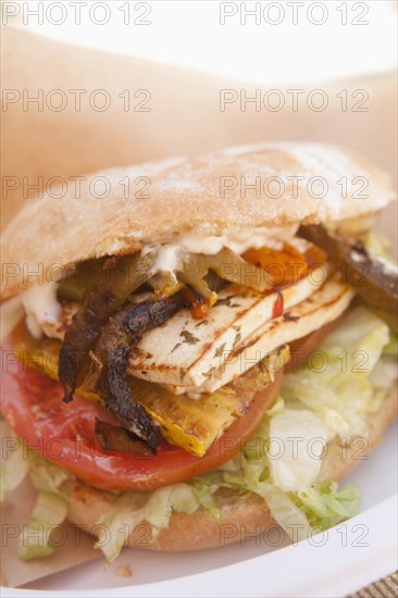 Studio shot of vegetarian sandwich