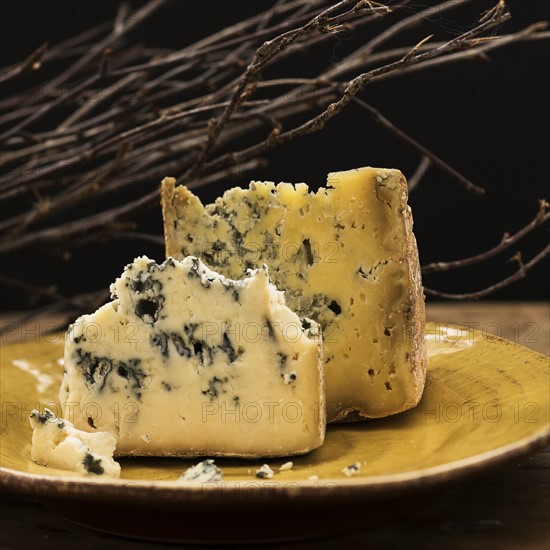 Blue cheese slices on plate, studio shot.