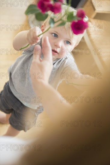 Boy (2-3) giving flowers to his mother