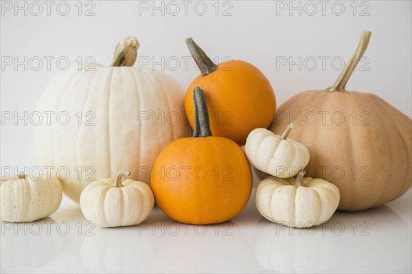 Studio Shot of pumpkins