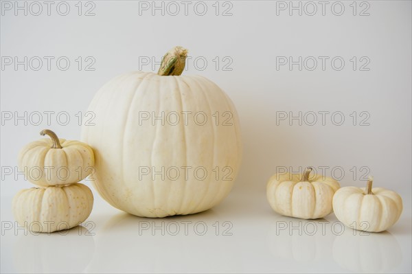 Studio Shot of pumpkins