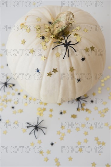 Studio Shot of pumpkin with halloween decoration