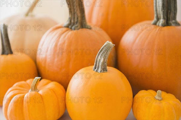 Studio Shot of orange pumpkins