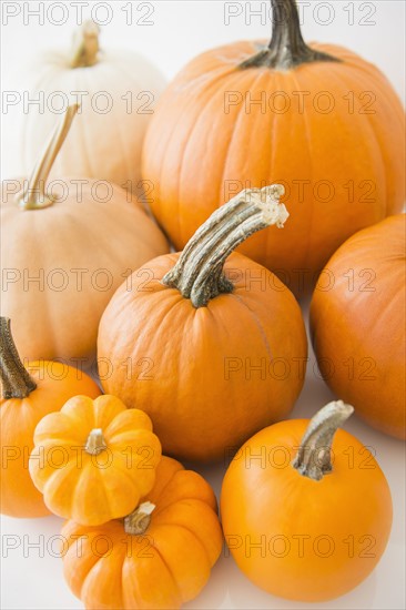 Studio Shot of orange pumpkins