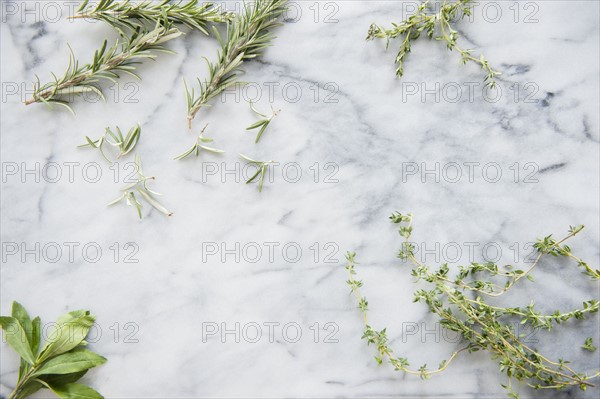 Studio Shot of herbs